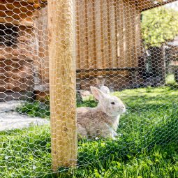 Windhager klein dierenweefsel zeshoek-weefsel verzinkt 3