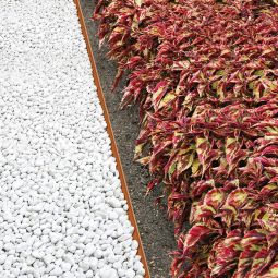 bellissa Grasbordersteenen cortenstaal Maaikant Bedrand 5
