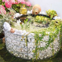 bellissa steenkorf verhoogde vijver tuinvijver 3