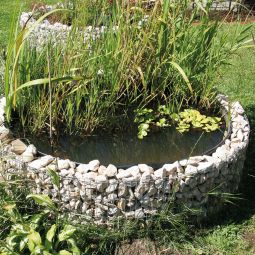 bellissa steenkorf verhoogde vijver tuinvijver 6