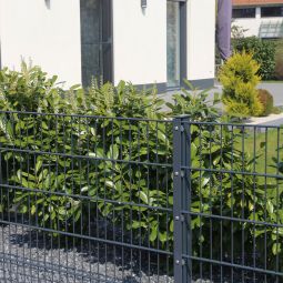 Dubbelstaafmat hekwerk zum Einbetonieren Rundum-sorglos-Paket 4