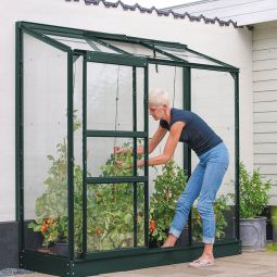 Vitavia Aanleunkas Styx Tomatenhuis Smaragd 5