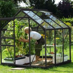 Vitavia Tuinkas Venus Tomatenkasje Zwart 3