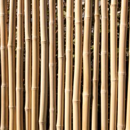 TraumGarten schutting BAMBU rechthoek bamboe 3
