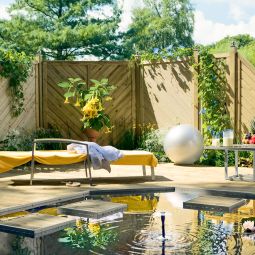 TraumGarten schutting GADA hout zichtschermlatten 6