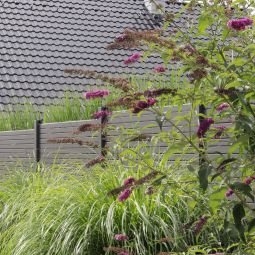 TraumGarten Tuinhek SYSTEEM Ruitpatroon antraciet 11