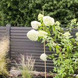TraumGarten Tuinhek SYSTEEM Ruitpatroon antraciet 15