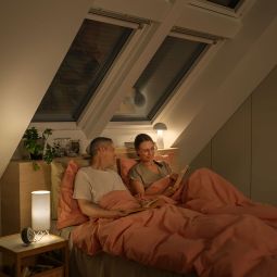NIEUW: VELUX Solar-rolluik SSL 0000K 8