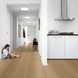 VELUX veluxdaglichtspot TWR met starre 3