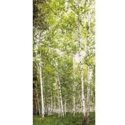 Winwall douchewand aluminium composiet berkenbos 3