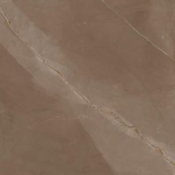 Wellker tegels Chihuahua Bruin geglazuurd mat gespecificeerd 60x60 cm Dikte 9 mm Geschikt voor vloerverwarming