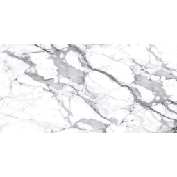 Wellker tegels Apodaca Grey Plus geglazuurd glanzend geslepen dikte 6 mm verschillende maten