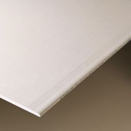 Knauf gipskartonplaat GKB gipsplaat 2000x1250x12,5mm, ook geïmpregneerd verkrijgbaar