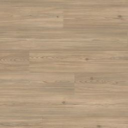 HARO Laminaat Landhausdiele TRITTY 90 TC Pinie Florenz soft matt Elegant laminaat in lichte pijnboomoptiek in het formaat 1282x193 mm, robuust en onderhoudsvriendelijk voor moderne woonruimten