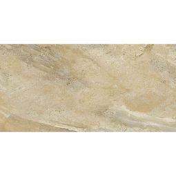 Wellker Tegels Fijnsteengoed Camuy bruin gepolijst gelijkmatig afgesneden 30x60 cm, dikte 10 mm