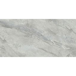 Wellker Tegels Fijnsteengoed Camuy grijs gepolijst rechthoekig geslepen 30x60 cm, dikte 10 mm