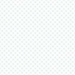 d-c-fix Raamfolie Motive Ally Zichtscherm 1500x675 mm / statisch hechtend (static)