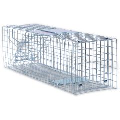 Ongediertebestrijding