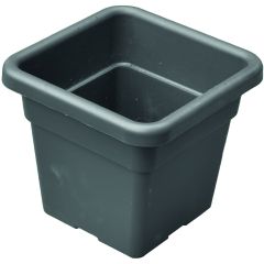 Verhoogde plantenbak