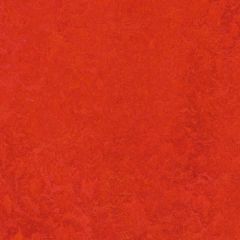 Linoleum
