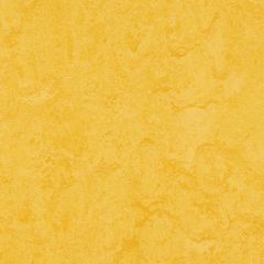 Linoleum