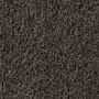 forbo deurmat voetafveegkast Coral Brush 5714 shark grey