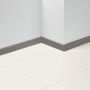 Parador Decoratief-Plint SL 5 WF Eik D119 grijs Voetstuklijsten